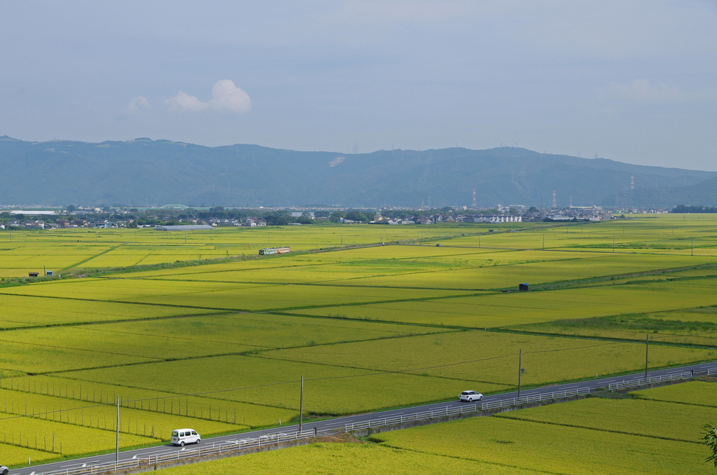 広大な空間を