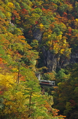 紅葉の鳴子峡