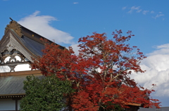 虎渓寺の紅