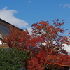 虎渓寺の紅