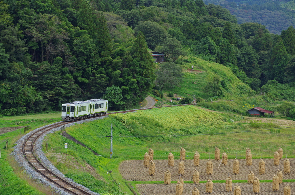 秋の山麓