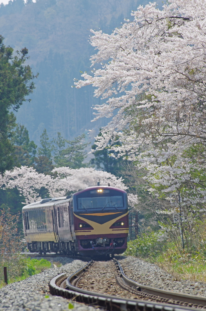 現れたﾘｿﾞｰﾄみのり号