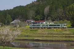 春の水鏡