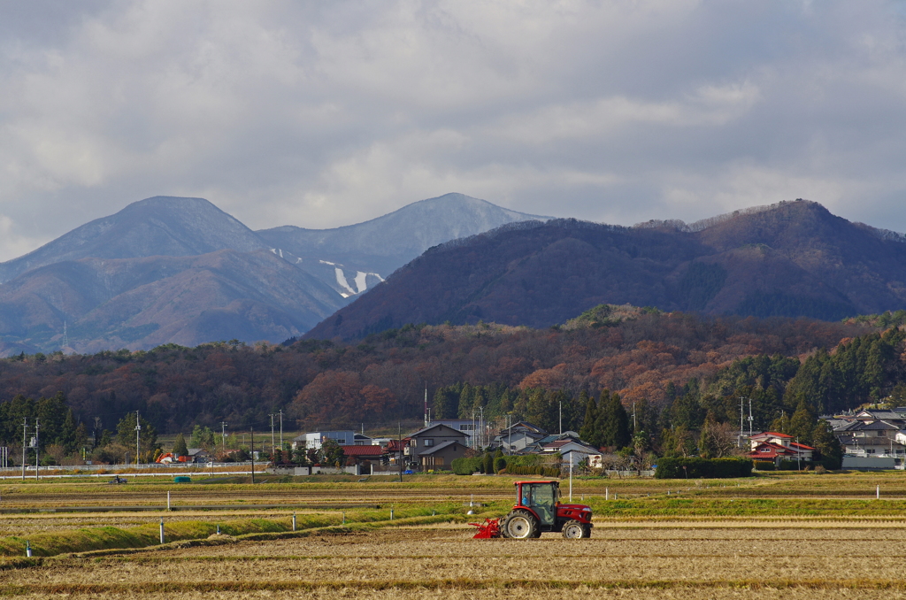 冬への備え