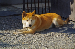 何を見つめる