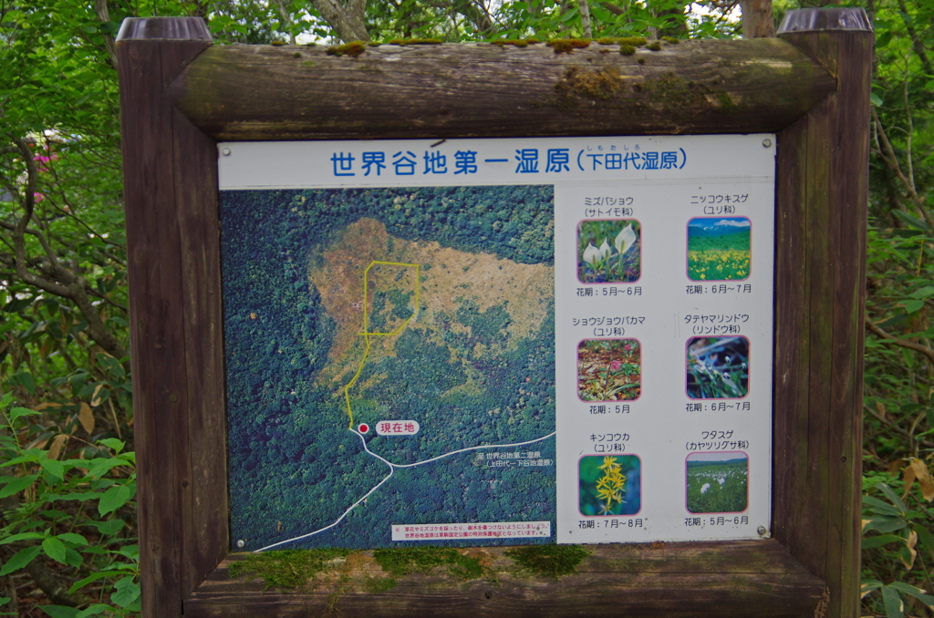 原生花園の案内板