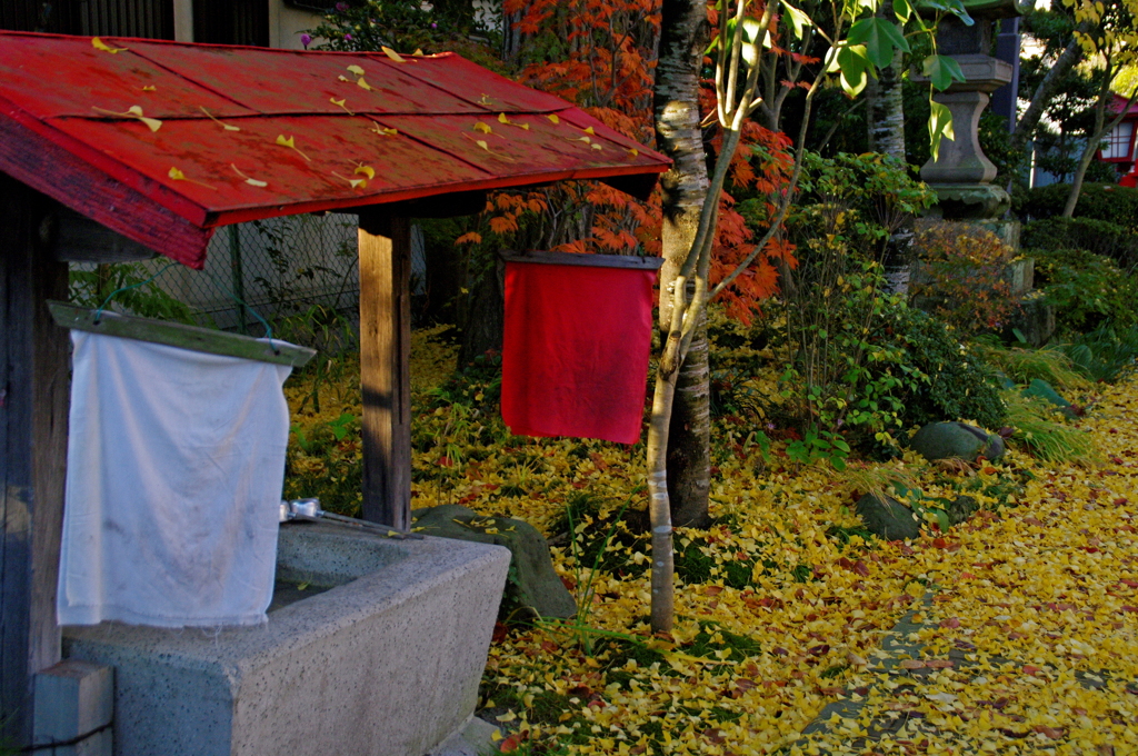 紅い布