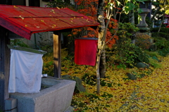 紅い布
