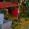 紅い布