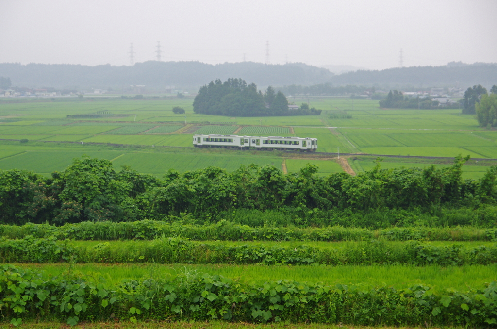 大崎平野を