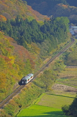 やって来たｷﾊ110形
