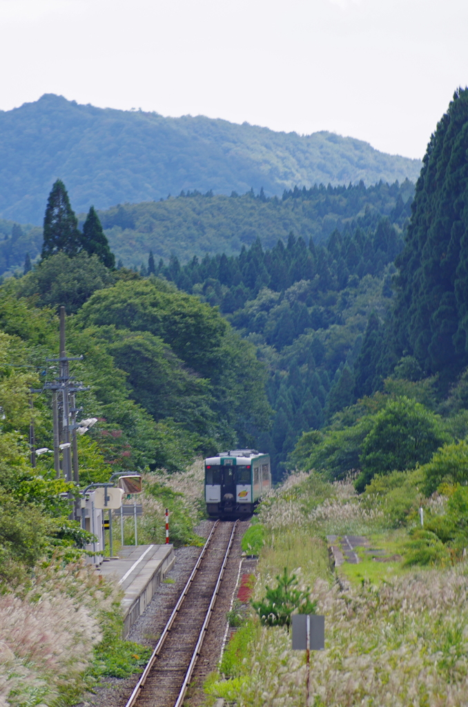 走り去る