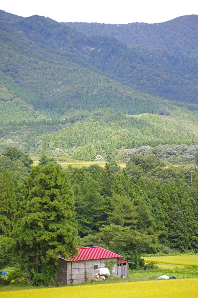 堺田の台地
