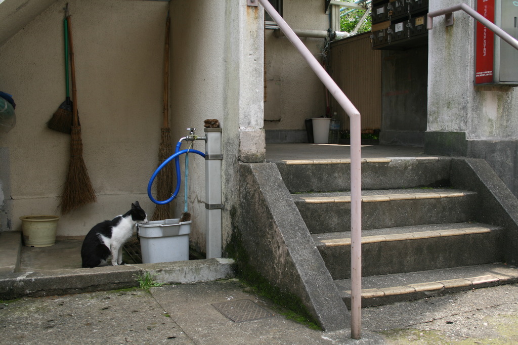 昼下がり