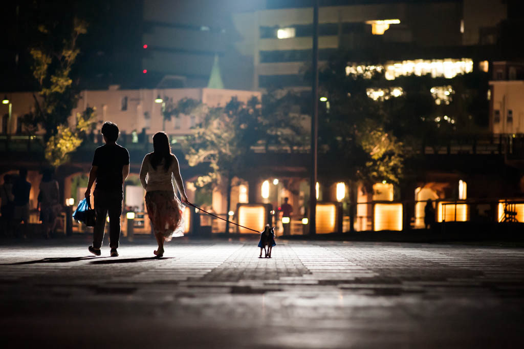 Walk the night