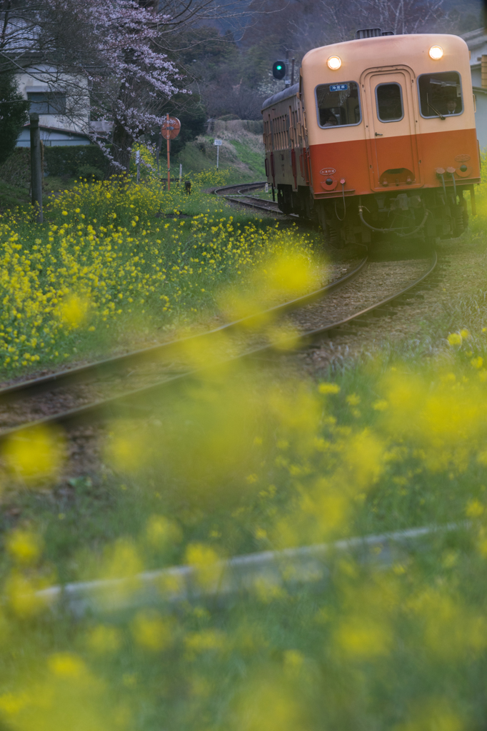 小湊鉄道