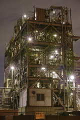 Plant of the night 3