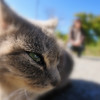 ニャンの休日♪