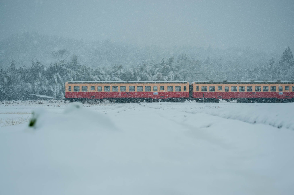 雪列車