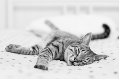 Relax2