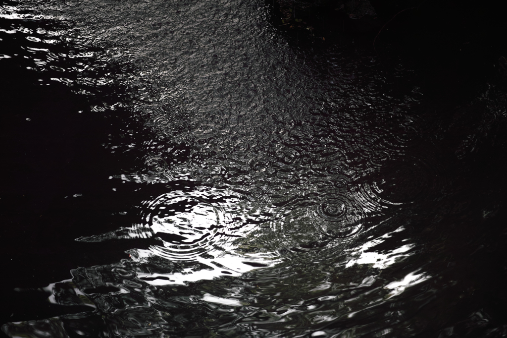 Ripple