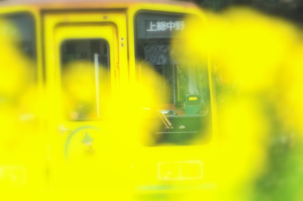 yerrow train