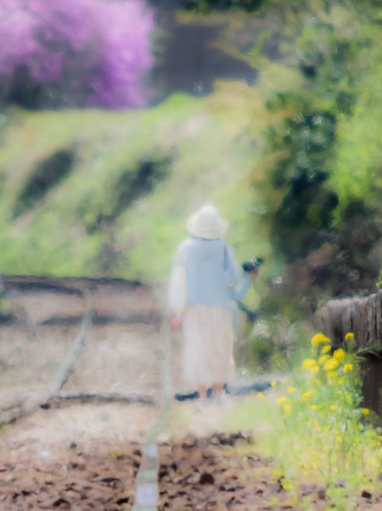 Dream of spring