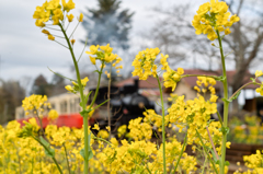 小湊鉄道