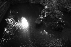 成田山 新勝寺 5