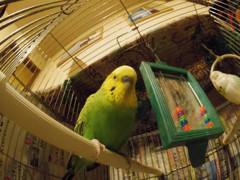 お邪魔しま～す　♪