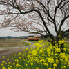 小湊鉄道