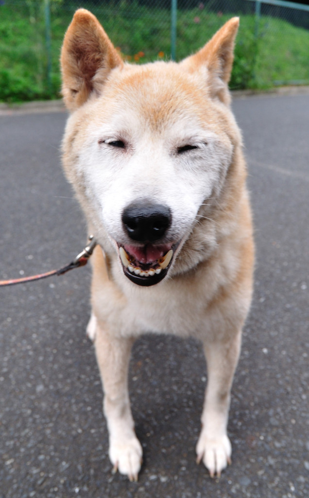 きょうも笑顔です♪