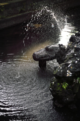 成田山 新勝寺 4