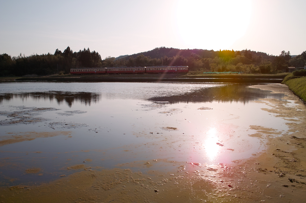 のんびり小湊鉄道 3