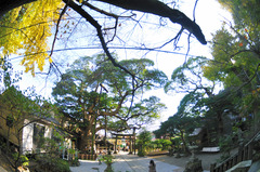 御霊神社