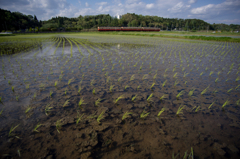 小湊鉄道