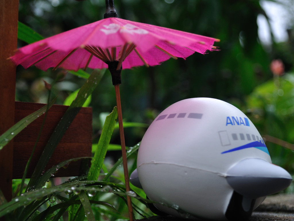 ＡＮＡ様 雨が.......