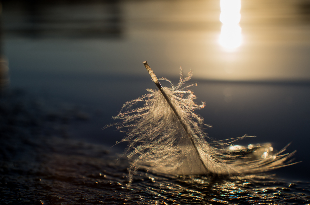 REVUENON-SPECIAL 35mm 1:2.8