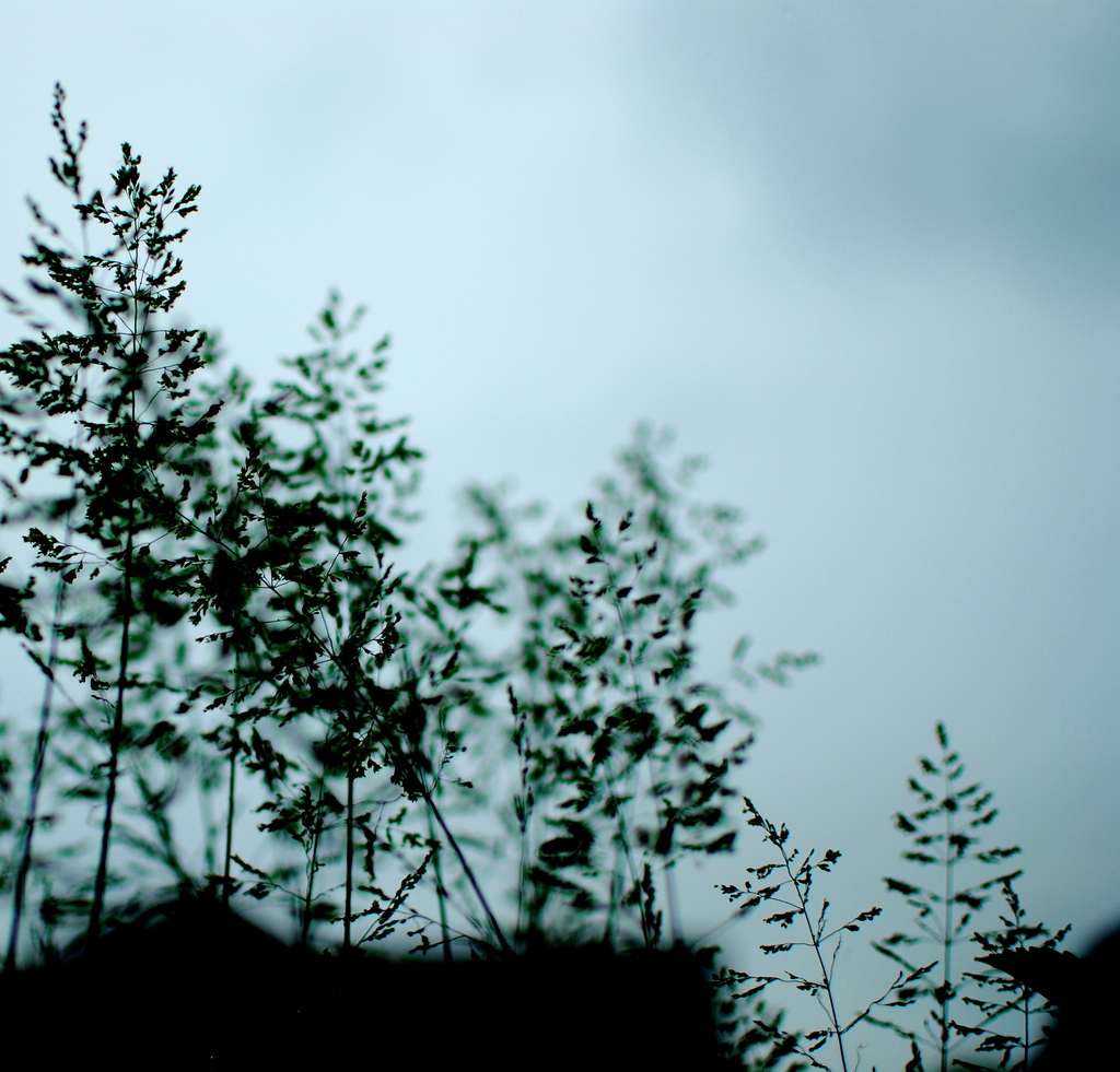 雨の気配
