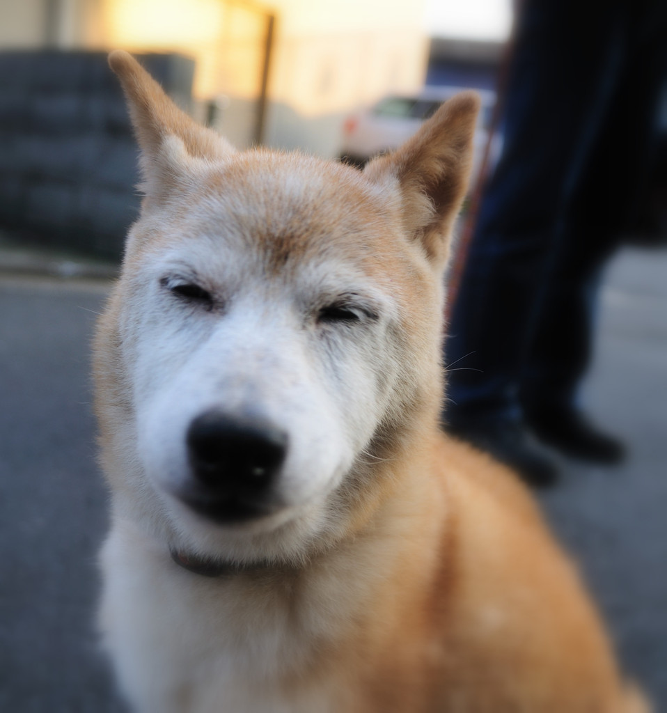 ななちゃん、お元気でしたか♪