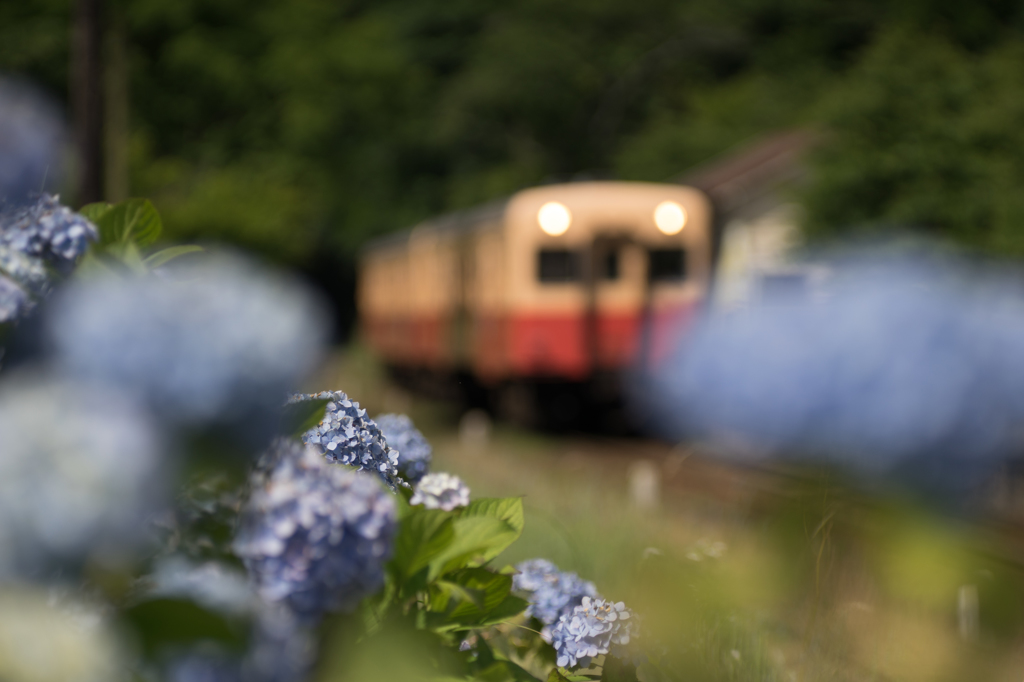 小湊鉄道