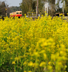 yellow road