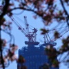 2010年の春