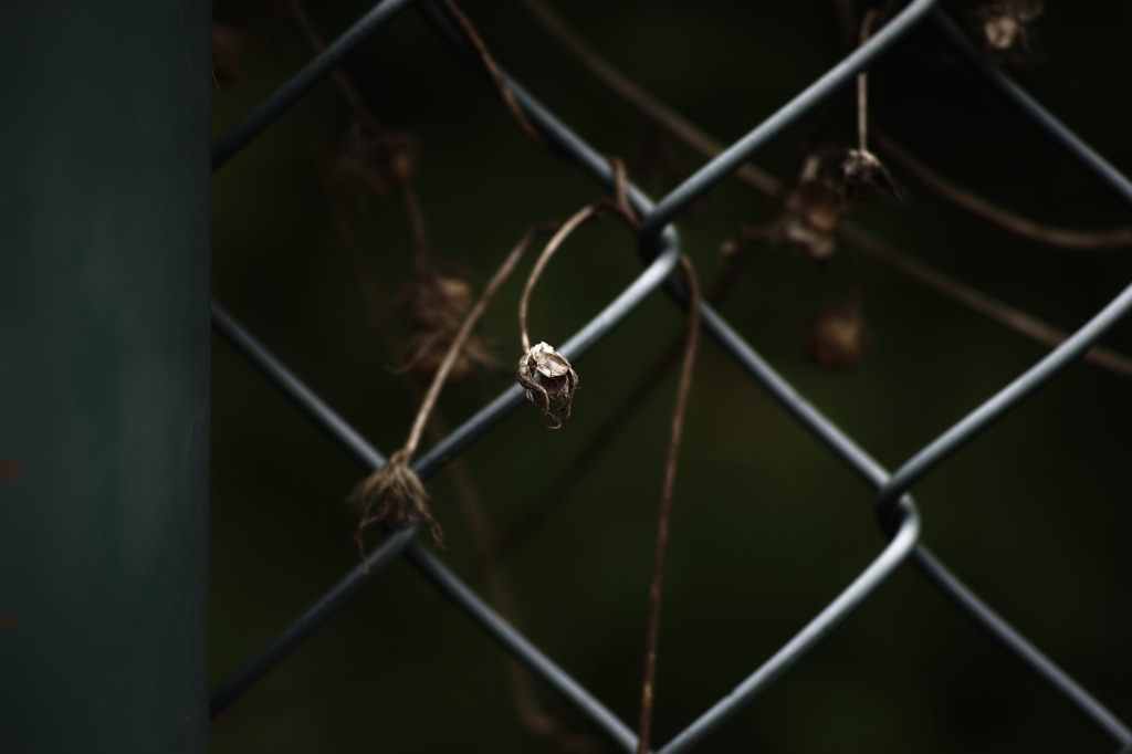 Decay