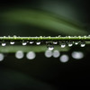 Raindrop