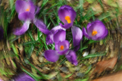 dizziness