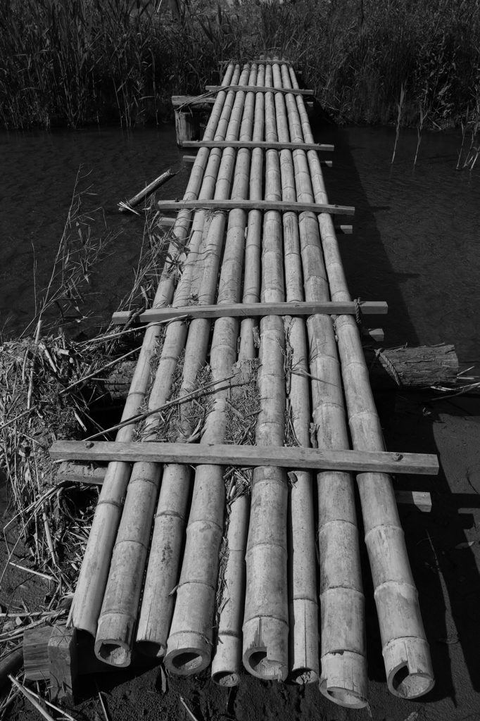 Bridge of bamboo