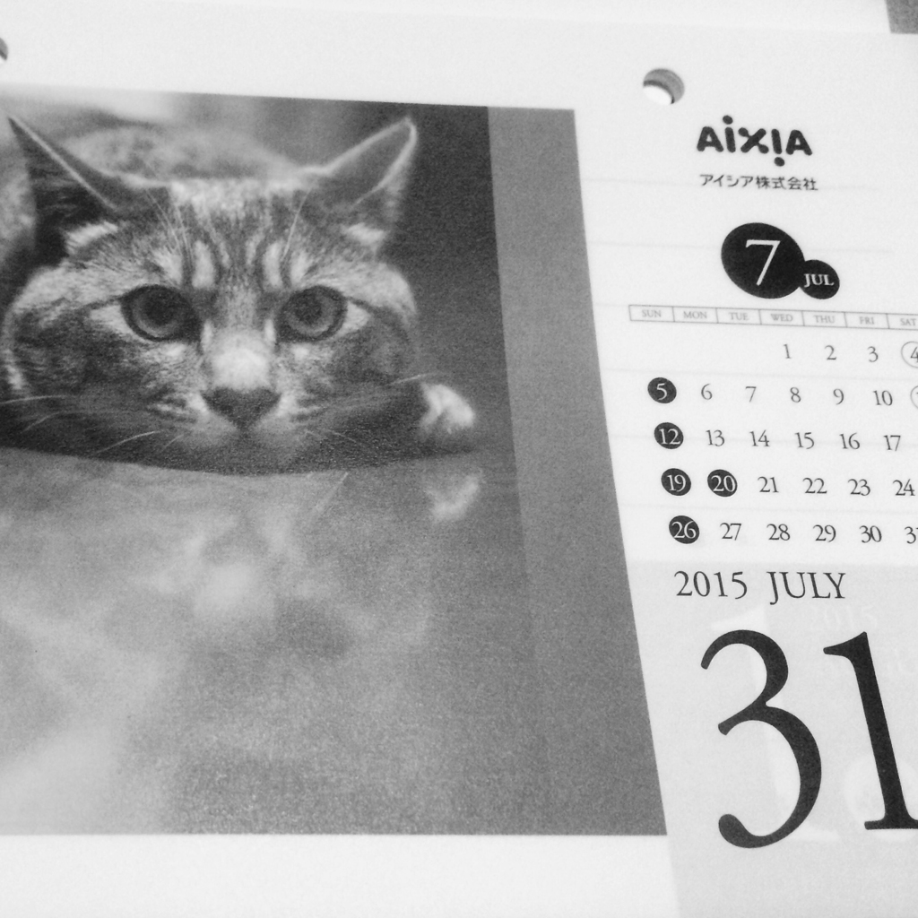 極楽ねこカレンダー　7月31日
