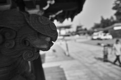 成田山 新勝寺 3