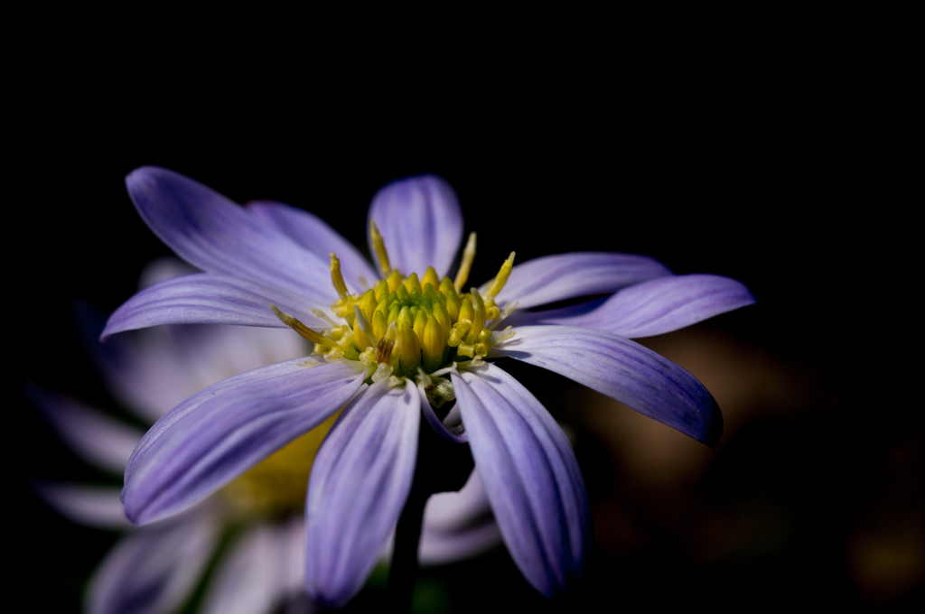 Macro